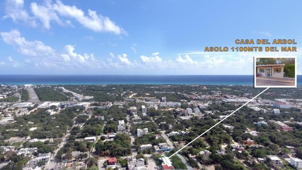 Condo Casa Del Arbol Playa del Carmen Exteriör bild